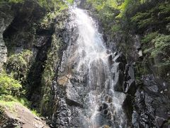 -花岩国家森林公园