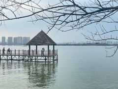 -瑶湖郊野森林公园