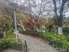 -峙山公园