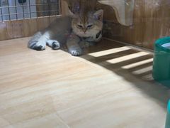 -永旺梦乐城(金银潭店)