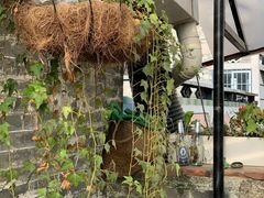 -墨厨(沙坪店)