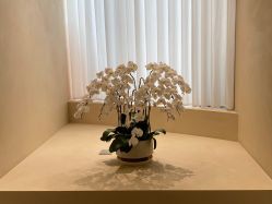 -针美汇欧邦医疗美容