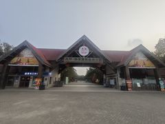 -上海海湾国家森林公园