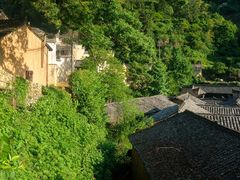 -杨家堂村