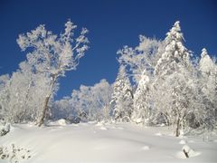 -雪谷