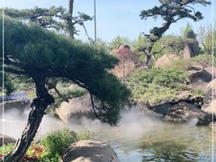 -罗红摄影艺术馆