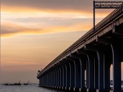 -宝安西湾红树林湿地公园