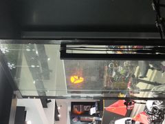 -雅迪电动车(北艾路店)