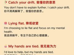 -引领英语·成人口语·雅思托福