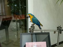 -奉天大饭店(澳海澜庭店)