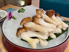 -滇色蒸汽石锅鱼(京华城店)