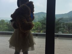 -宁波九龙湖开元度假村
