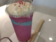 -飞行喵MR PILOT|猫舍·猫咖(静安大融城店)
