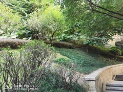 -乌山风景区