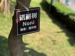 -三亚南山文化旅游区