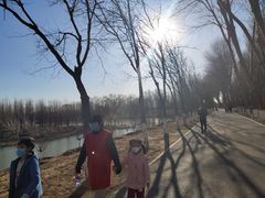 -东郊湿地公园