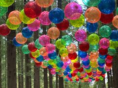 -黄海国家森林公园