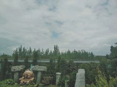 -七彩云南欢乐世界