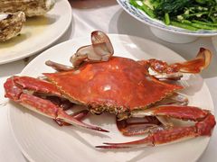 清蒸大公梭子蟹-北塘海鲜·天津菜·鲅鱼水饺是一绝(大光明桥旗舰店)