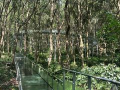-富春桃源风景区
