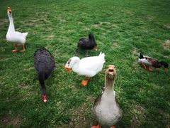 -蓝地时尚庄园(北京清河营地铁站店)