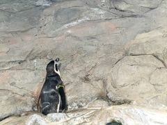 -秦皇岛新澳海底世界