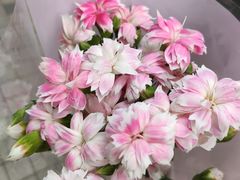 -恒大翰城瀚锦苑