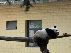 -石家庄市动物园