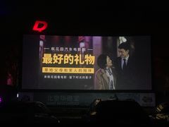 -枫花园汽车电影院(朝阳公园店)