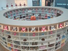 -济州岛泰迪熊博物馆