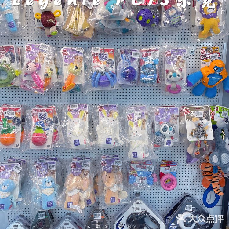 快来带走你的小可爱‼️宠物店中的爱马仕
