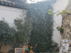 -鲤院·新中式美学·庭院餐厅(夫子庙店)