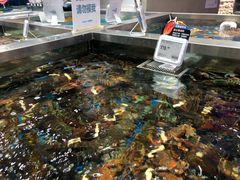 水产区-盒马鲜生(189购物中心店)