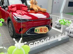 -上海浦东smart汽车全功能店(金桥店)