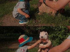 -长春公园(普阳街道)