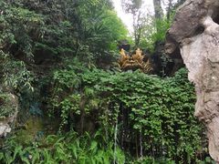 -杭州黄龙洞