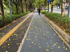 -深圳龙潭公园