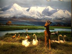 -中国湿地博物馆