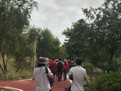 -鹤之洲湿地公园