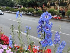 -广州中山纪念堂