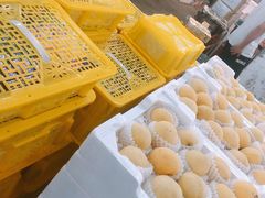 -沈阳市八家子水果批发市场