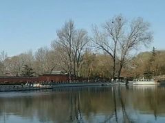 -百脉泉景区