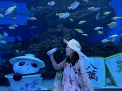 -海合安成都极地海洋公园