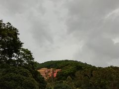-东莞市大岭山森林公园