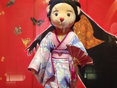 -济州岛泰迪熊博物馆