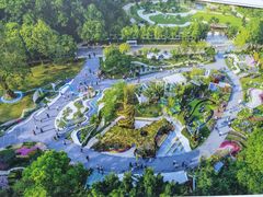 -深圳仙湖植物园