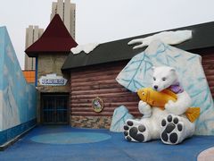 -海合安武汉极地海洋公园