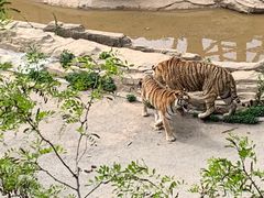 -大连森林动物园