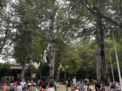 -莲湖公园