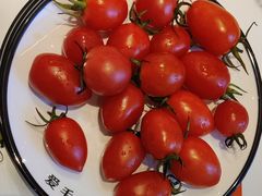 -大熊猫毛肚火锅(烟台万象汇店)